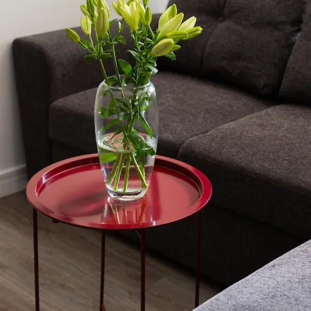 Apartament Native Morawskiego 12 Kraków